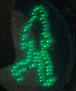 Saham Bank, le piège du bannissement, nabD نبد ?