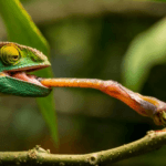 Cette damnée l'Hamza qui entrave l'esprit d'entreprise